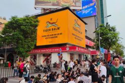 LED 12Bis Nguyễn Huệ