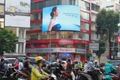 LED Con Cưng SuperCenter